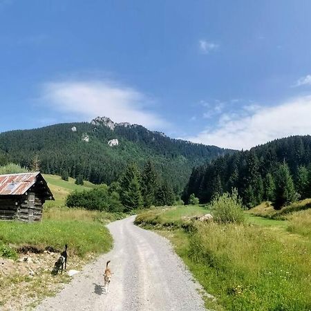 Drevenica Harmony Villa Ружомберок Екстериор снимка
