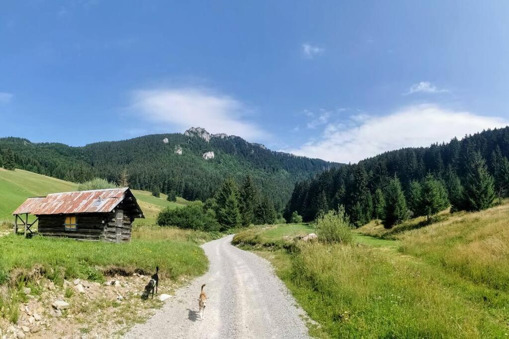 Drevenica Harmony Villa Ружомберок Екстериор снимка